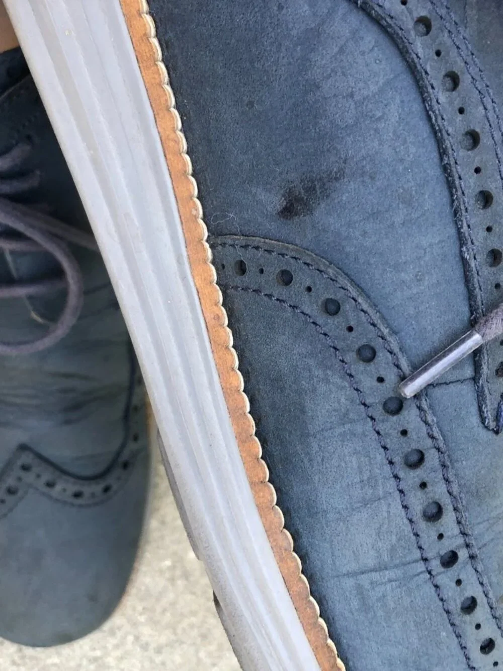 COLE HAAN Modern Blue Oxford Wingtip Shoes Men's 10 M Blue Leather Suede C26473